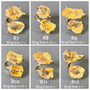 Raw citrine crystal dual stone ring