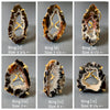 Druzy geode slice ring