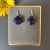 Sodalite hexagon drop earrings