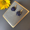 Sodalite hexagon drop earrings