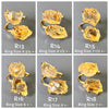 Raw citrine crystal dual stone ring