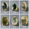 Moss agate mixed shape cabochon rings