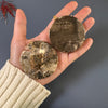 Petrified wood oversized disk pendant