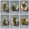 Moss agate mixed shape cabochon rings