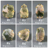 Moss agate mixed shape cabochon rings
