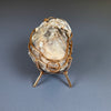 Jewelry box #36