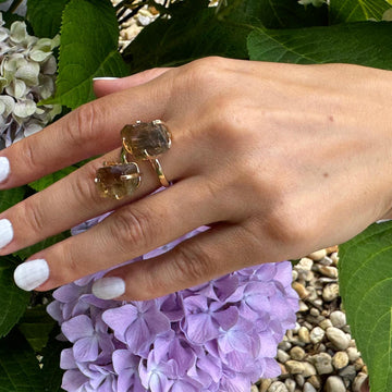 Duo smoky quartz ring