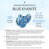 Tara Celeste — blue kyanite & raw kyanite bar necklace